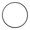 image:imageA O Smith AOWHLGOR Genuine Replacement  ORing  for 45 Filters1 Count Pack of 1
