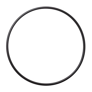 image:imageA O Smith AOWHLGOR Genuine Replacement  ORing  for 45 Filters1 Count Pack of 1